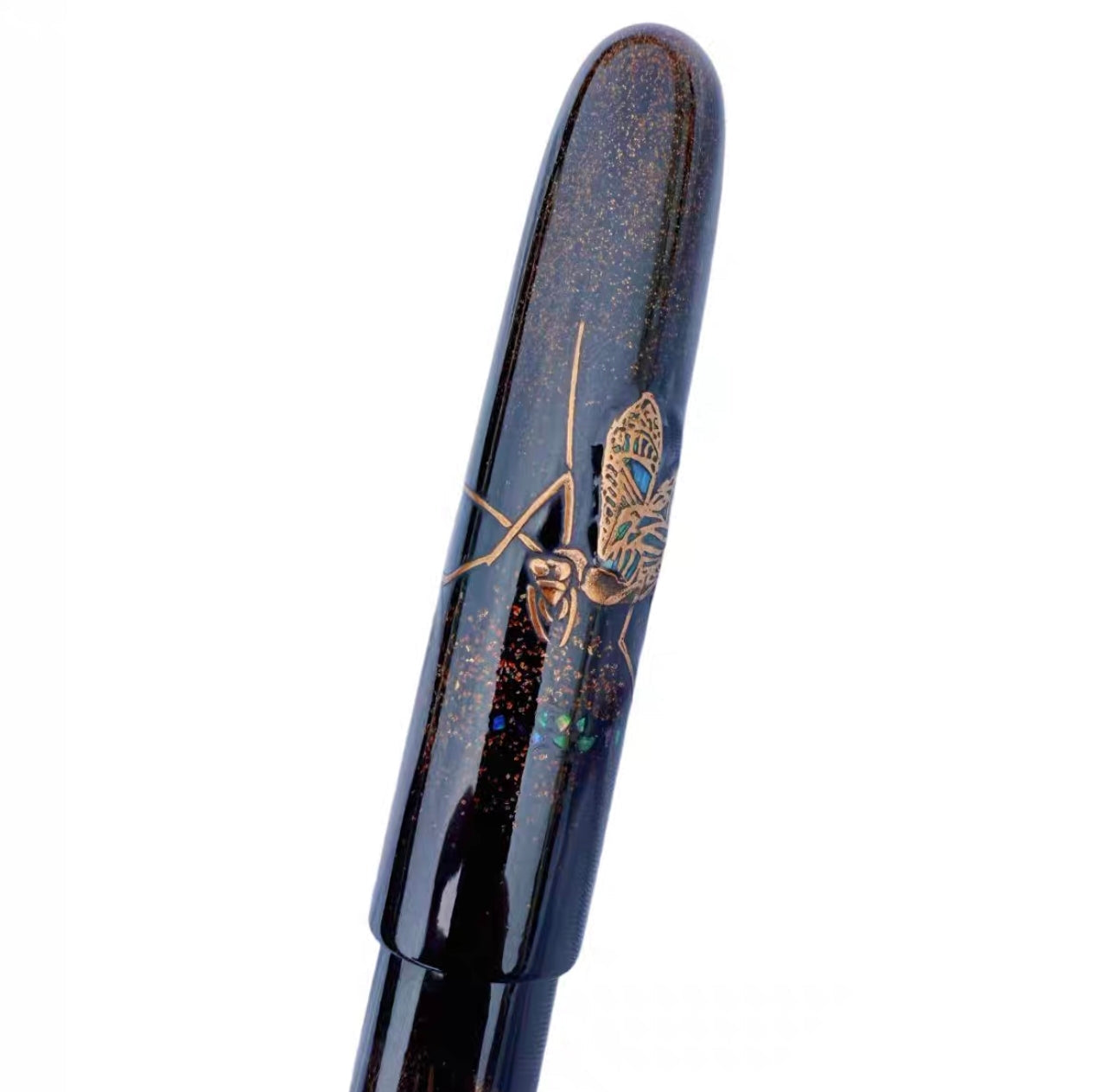Insect